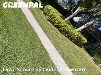 Lawn Cutting nearby Royal Palm Beach, FL, 