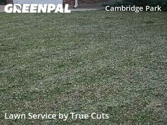 Lawn Mow nearby Oklahoma City, OK, 