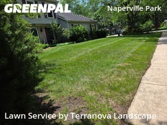 Lawn Service nearby Naperville, IL, 