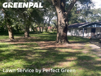 Grass Cutting nearby Tampa, FL, 