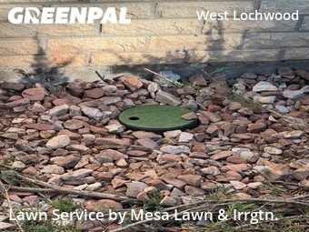Grass Cutting nearby Lakewood, CO, 