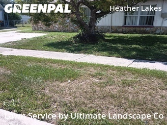 Grass Cutin Brandon,33511,Grass Cut by Ultimate Landscape Co, work completed in Jun , 2026