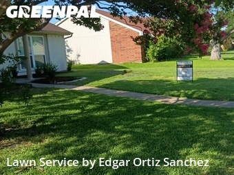 Lawn Mow nearby Allen, TX, 