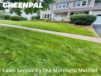 Lawn Care nearby Bolingbrook, IL, 