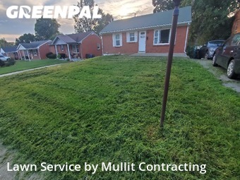 Lawn Care Service nearby Lexington, KY, 
