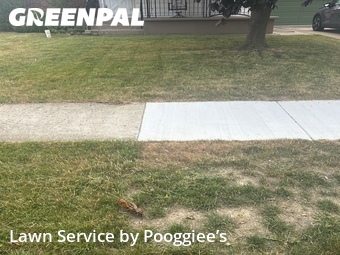Yard Mowing nearby Cheektowaga, NY, 