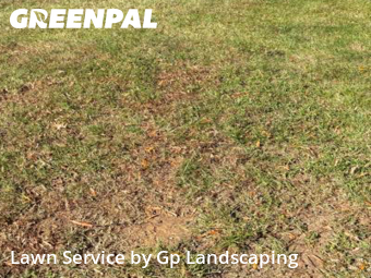 Lawn Mowing Service nearby Matthews, NC, 