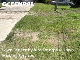 Lawn Cut nearby Sanford, FL, 
