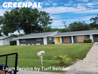 Grass Cut nearby Tampa, FL, 