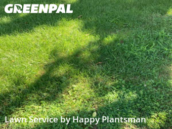 Backyard Mowing in Trenton, 45067, Garden Trimming by Happy Plantsman, work completed in Dec , 2025