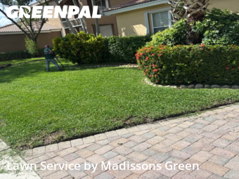 Yard Grooming in Greenacres, 33467, Lawn Mowing by Madissons Green, work completed in Nov , 2025