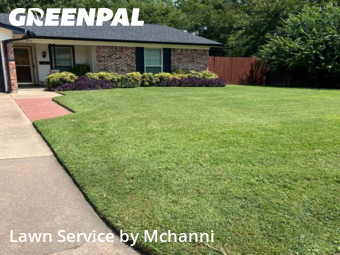 Grass Cuttingin Burleson,76028,Yard Mowing by Mchanni, work completed in Nov , 2025