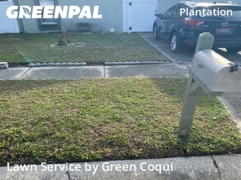 Lawn Cutting nearby Tampa, FL, 