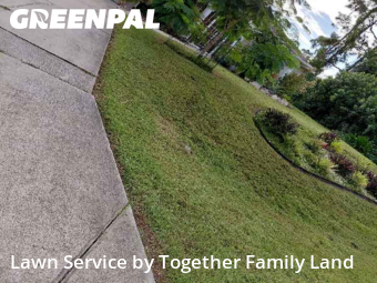 Weed Trimming in North Port, 34291, Yard Care by Together Family Land, work completed in Oct , 2025