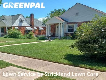 Grass Cut nearby Overland, MO, 