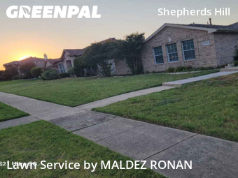 Lawn Cut nearby Frisco, TX, 