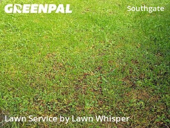 Yard Mowing nearby Hayward, CA, 