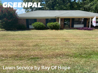 Lawn Cutting nearby Tuscaloosa, AL, 