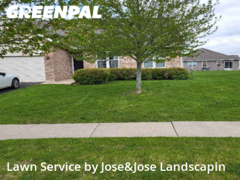 Lawn Cutting nearby Joliet, IL, 