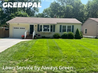 Lawn Cut nearby Independence, MO, 