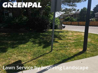 Yard Cuttingin Castle Pines,80108,Lawn Cut by Inspiring Landscape, work completed in Nov , 2025