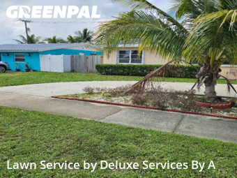 Backyard Mowing in Deerfield Beach, 33441, Garden Trimming by Deluxe Services By A, work completed in Dec , 2025
