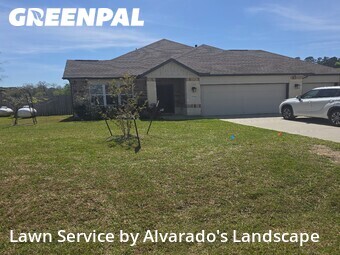 Grass Cutting nearby Cut And Shoot, TX, 