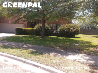 Grass Care in Buda, 78610, Lawn Work by Collin's Lawncare Se, work completed in Nov , 2025