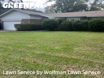 Yard Cutting nearby Gainesville, FL, 