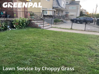 Grass Cut nearby Bayonne, NJ, 