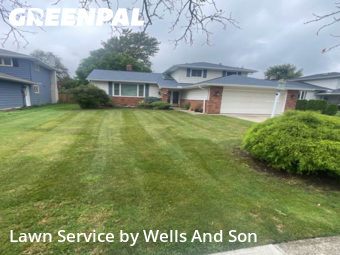 Grass Services in Mayfield Heights, 44124, Yard Grooming by Wells And Son, work completed in Nov , 2025