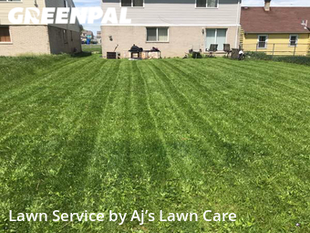 Grass Cutting nearby Blue Island, IL, 