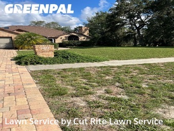 Lawn Cutting nearby Spring Hill, FL, 