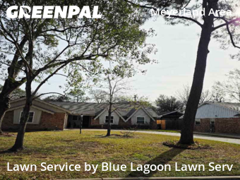 Lawn Care Servicein Houston,77096,Lawn Mow by Blue Lagoon Lawn Serv, work completed in Feb , 2026