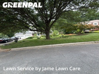Lawn mowed in Silver Spring, 20901