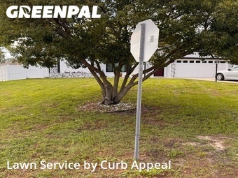 Lawn Care nearby Spring Hill, FL, 