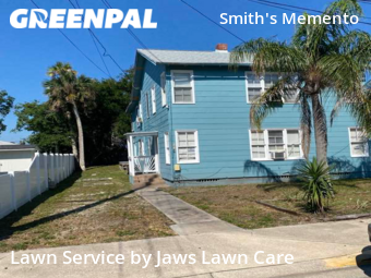 Grass Cut nearby Daytona Beach, FL, 