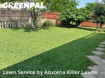 Lawn Cut nearby New Braunfels, TX, 
