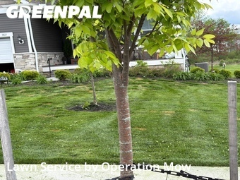 Lawn Care nearby Uniontown, OH, 