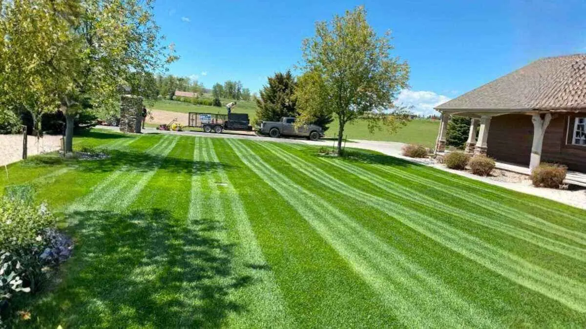 Can I get multiple lawn care quotes through one app or platform? By Greenpal