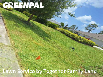 Grass Cut nearby North Port, FL, 