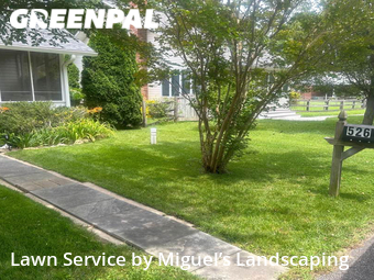 Yard Cutting nearby Annapolis, MD, 