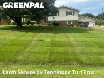 Lawn Cut nearby Hendersonville, TN, 