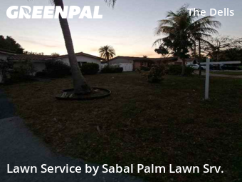 Landscaping Services In Coral Springs,33065,Landscaping by Sabal Palm Lawn Srv., work completed in Feb , 2026