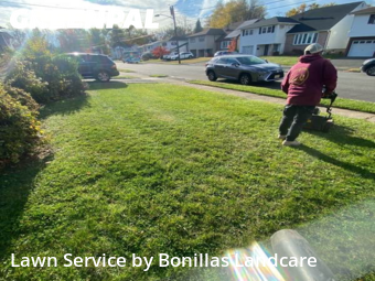 Lawn Maintenance nearby Union, NJ, 