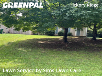 Yard Cutting nearby Charlotte, NC, 