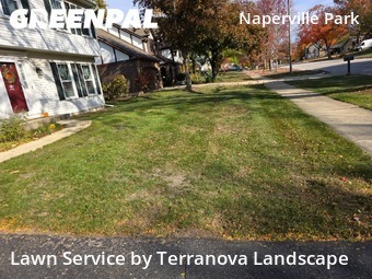 Yard Cuttingin Naperville,60540,Lawn Maintenance by Terranova Landscape, work completed in Dec , 2025