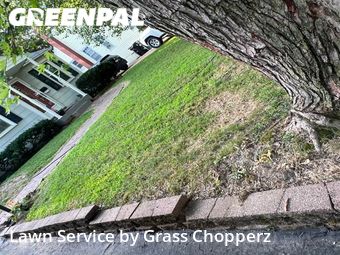 Yard Cutting nearby Kirkwood, MO, 