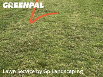 Lawn Mowingin Gastonia,28052,Lawn Cutting by Gp Landscaping, work completed in Dec , 2025