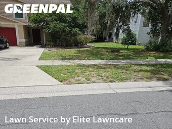 Grass Cut nearby Tampa, FL, 
